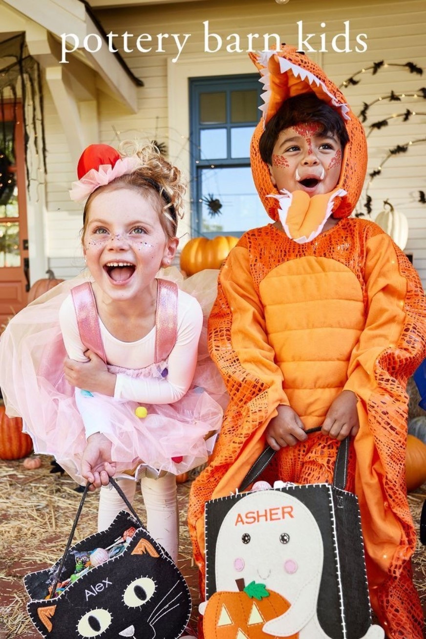 Pottery Barn kids Halloween costumes! 

#LTKBaby #LTKKids #LTKHalloween