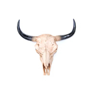 Skull Wall DÃ©cor Millwood Pines | Wayfair North America
