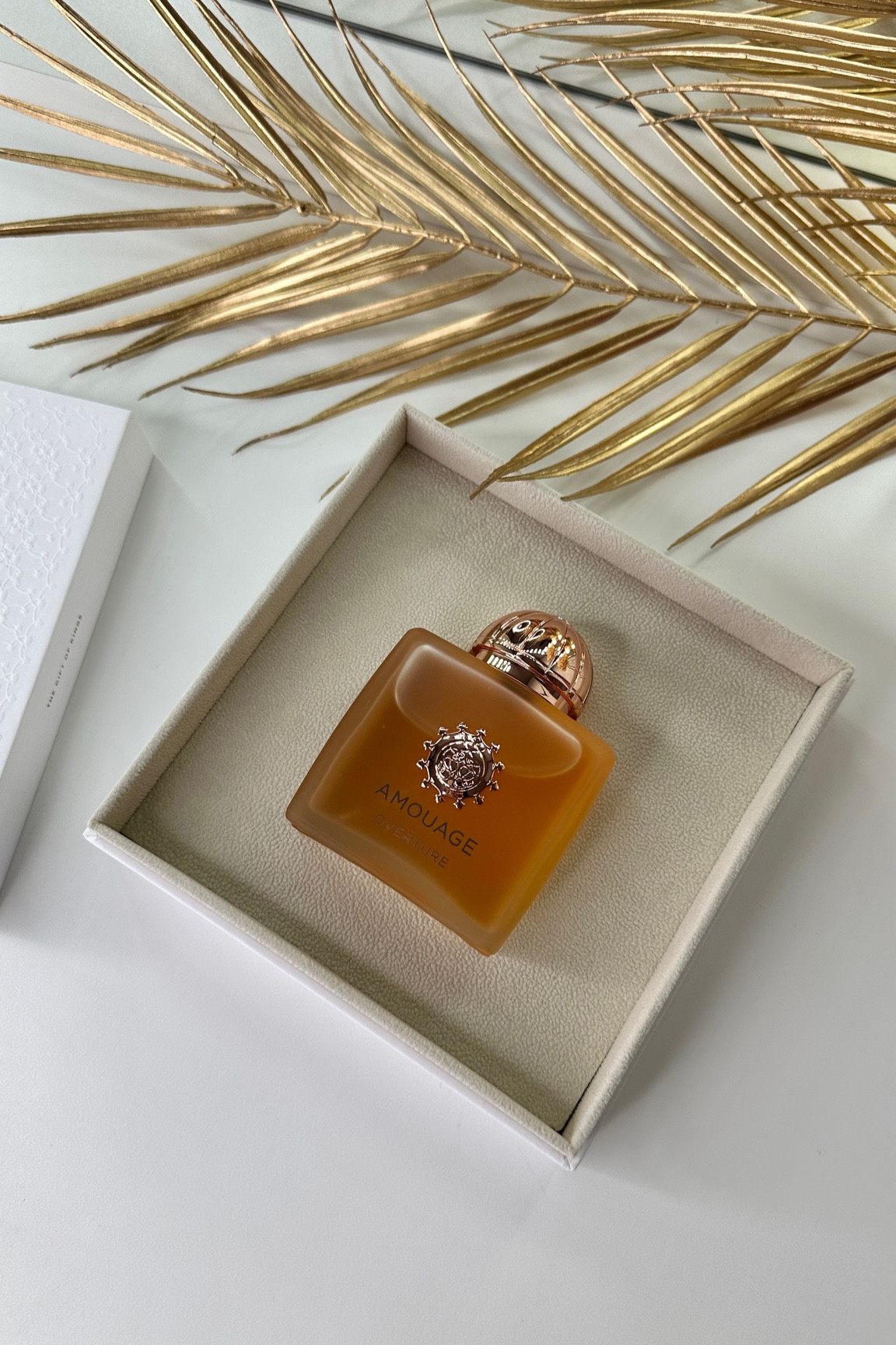 My most complimented scent of the week 