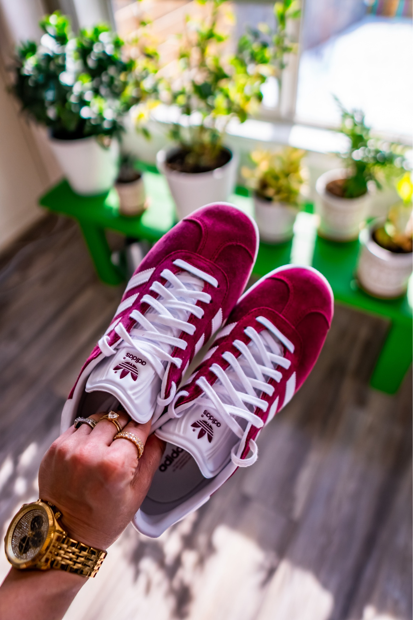 Adidas gazelle sneakers 

#LTKActive #LTKshoecrush #LTKstyletip