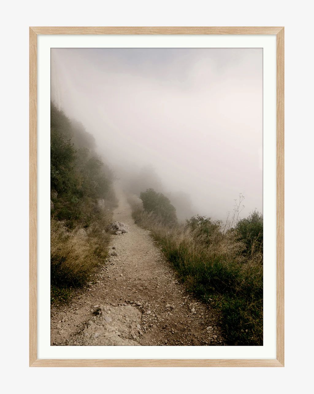 Foggy Path | McGee & Co.