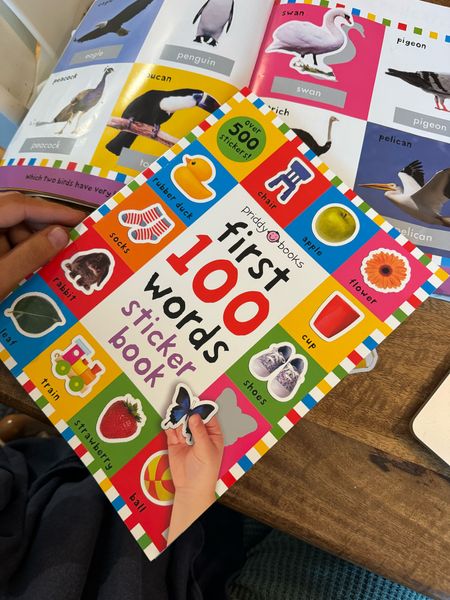 These are my favorite toddler sticker books. They teach the first 100 words that are great for a toddler to learn. The pictures are great and tells you what page to stick it on. It also helps with hand eye coordination, and Hudson sticks it on his own.

#LTKkids #LTKbaby #LTKfamily