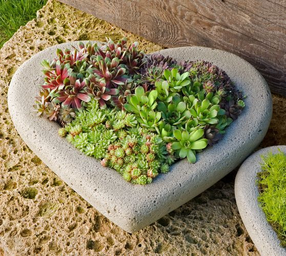 Sweet Heart Planters | Pottery Barn (US)
