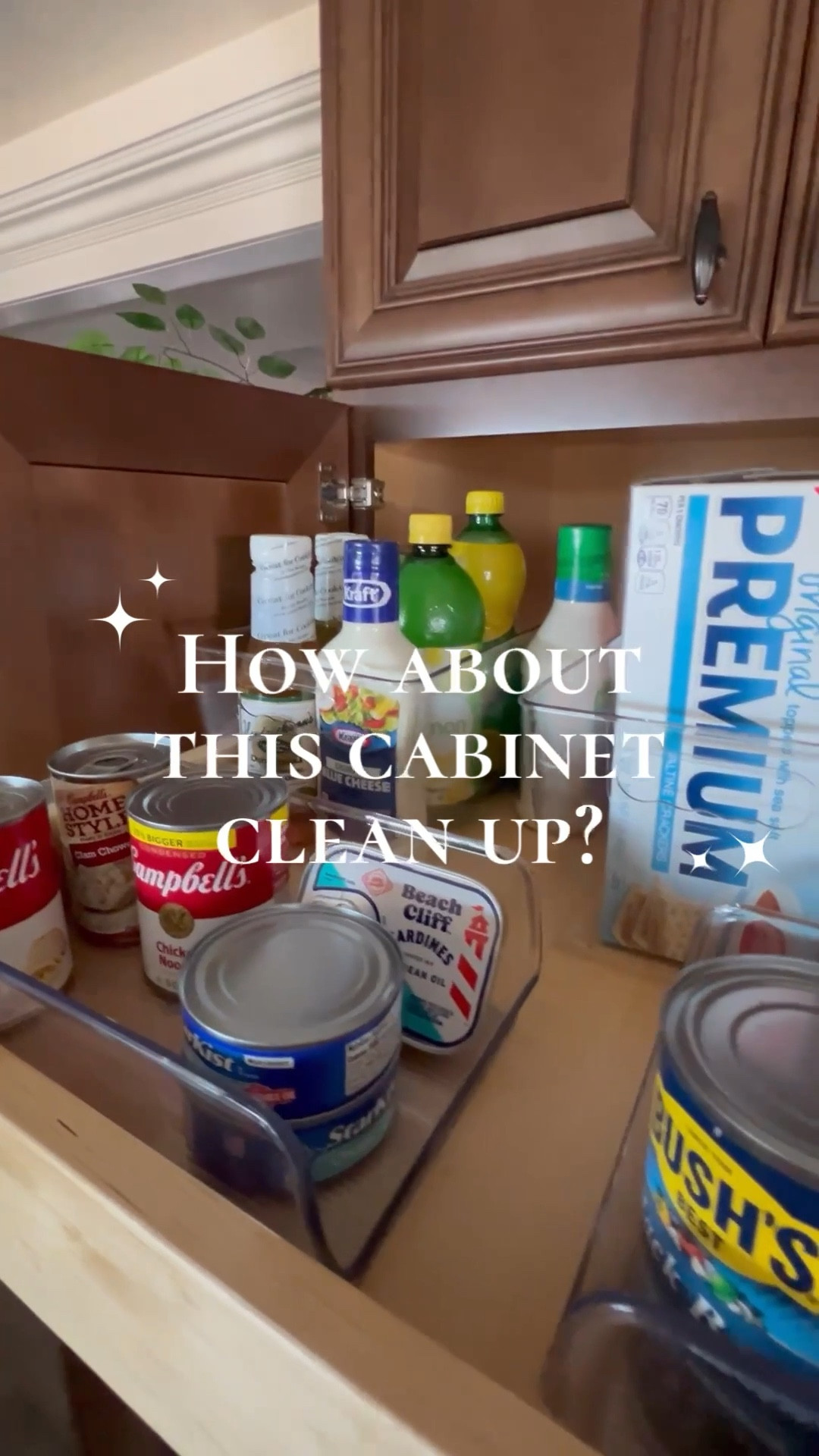 Cabinet Cleanup Post 3! My favorite clear storage containers linked, something for every size cabinet. See what you have! Some stack! Some have handles! No more messy cabinets and shelves in your kitchen #kitchenhacks #clearstorage #kitchensolutions #storagesolution #organization 

#LTKOver40 #LTKHome #LTKdayinmylife