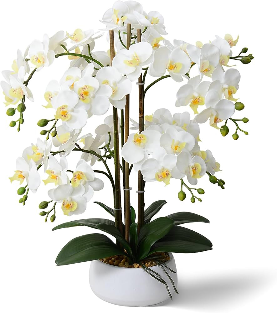 Ziwon Artificial Orchid Flowers & Plants Potted in Ceramic Pot, White Faux Phalaenopsis Orchids f... | Amazon (US)