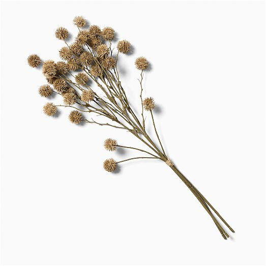 Faux Chestnut Stem Bundle | West Elm (US)
