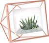 Click for more info about Umbra Prisma Picture Frame, 4 x 6 Photo Display for Desk or Wall, Copper