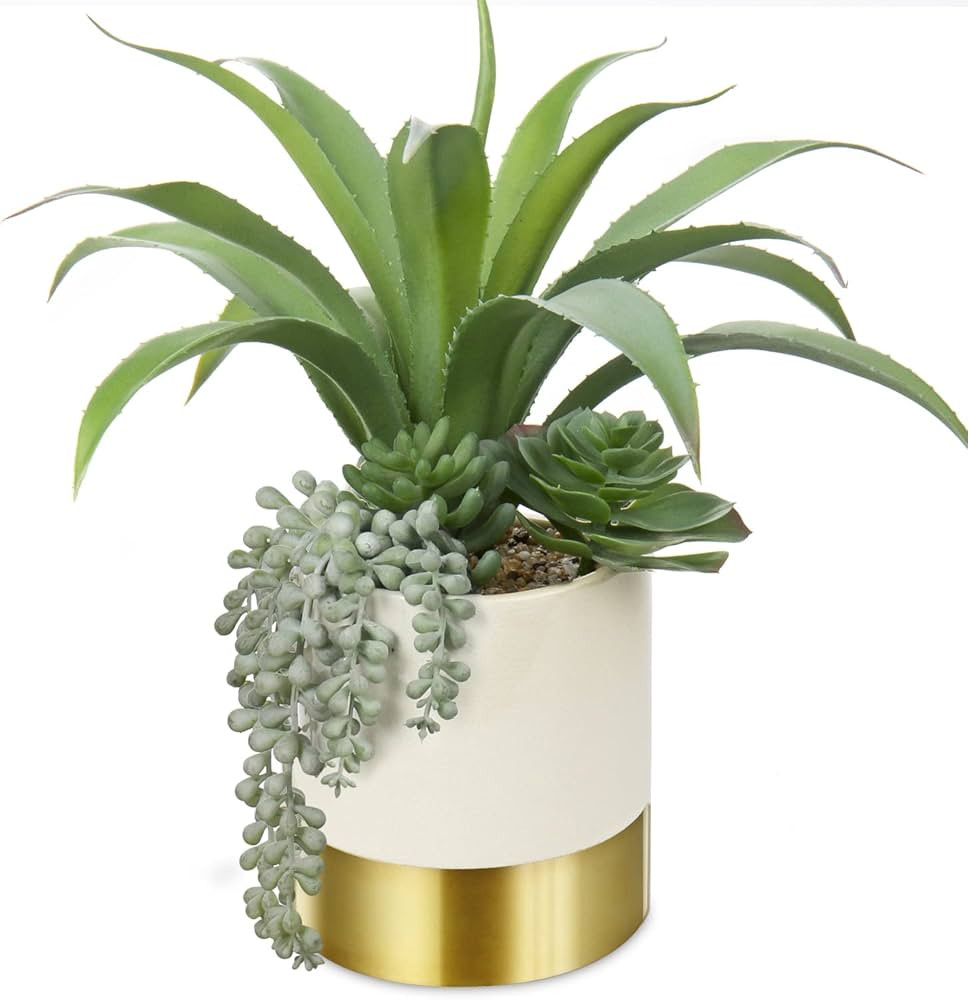 Large Artificial Succulents Plants Faux Succulents 12" Fake Succulent Plants in Gold Ceramic Pot ... | Amazon (US)