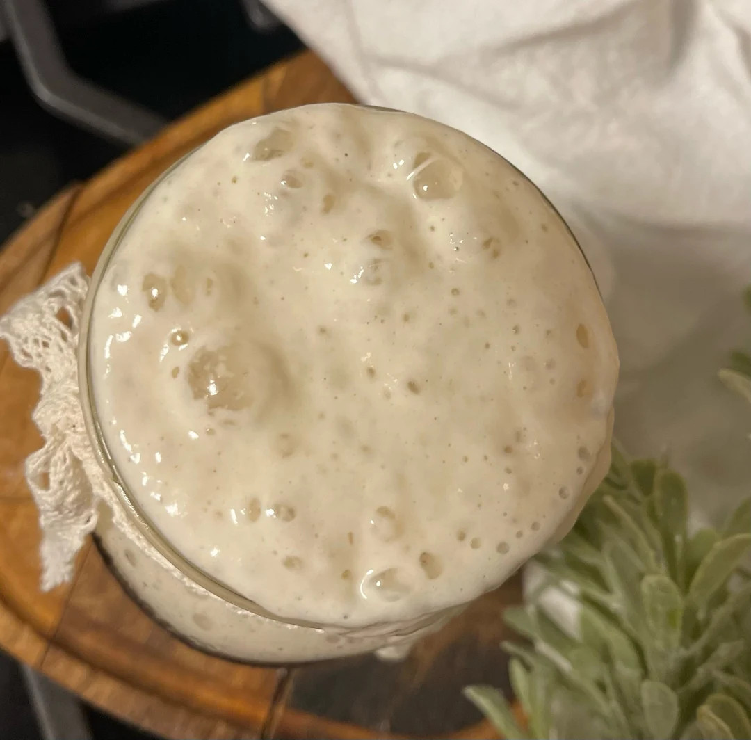 1000 Year Old Wales Sourdough Starter Culture - Etsy | Etsy (US)