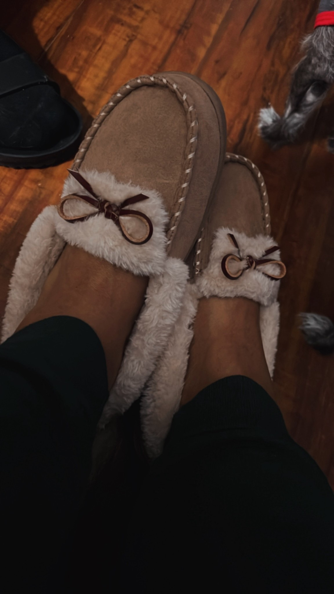 Warm & Cozy! OMG 😌

#LTKselfcare #LTKGiftGuide #LTKFindsUnder50