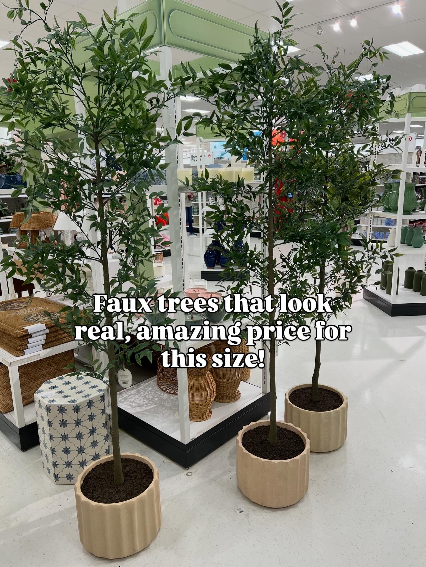New faux trees at Target #targethome 

#LTKHome