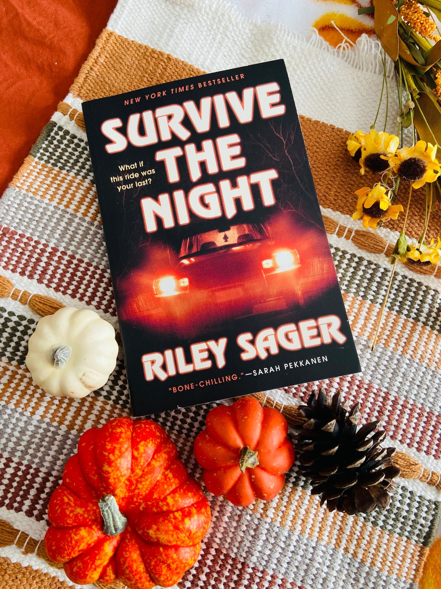 Fall books worth reading 

#LTKCyberWeek #LTKHoliday #LTKGiftGuide