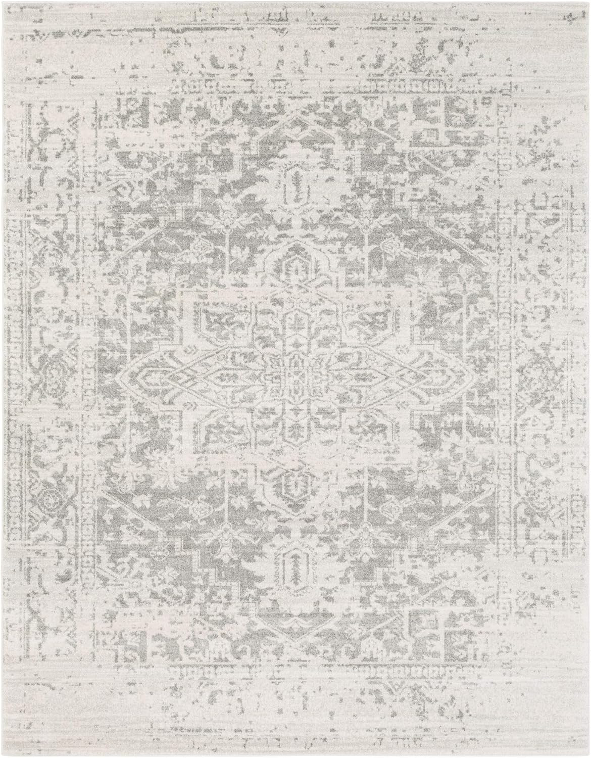 Janine Gray and Beige Updated Traditional Area Rug 7'10" x 10'3 | Amazon (US)