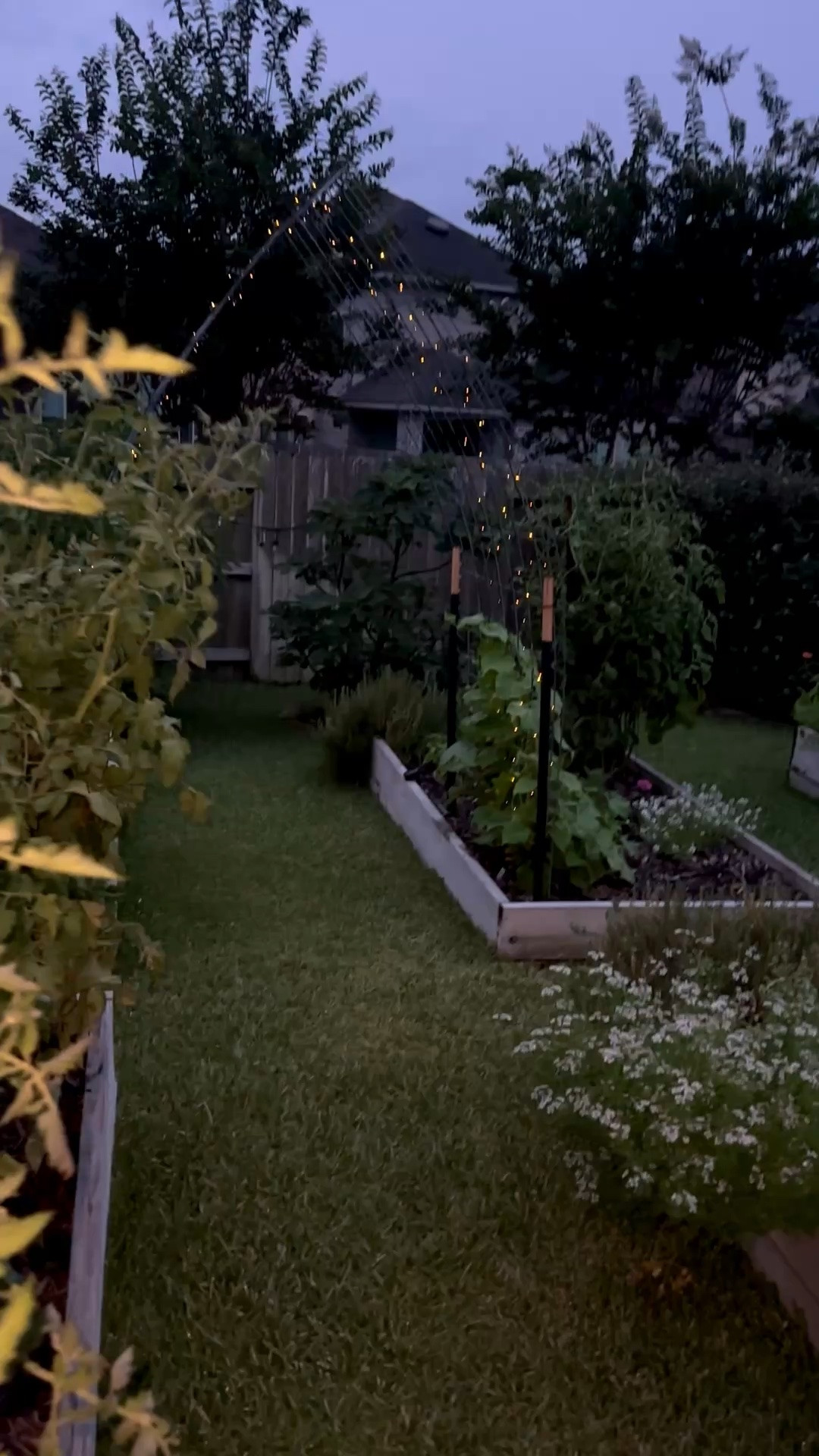 If you don’t have these fairy lights in your garden, you need some!

They are solar string lights and they have made the garden magical in the evening. 

The set comes with 4 strands of lights and each set has a solar panel.

They charge during the day and work their magic at night. 

garden decor • home decor

#LTKdayinmylife #LTKSeasonal #LTKHome