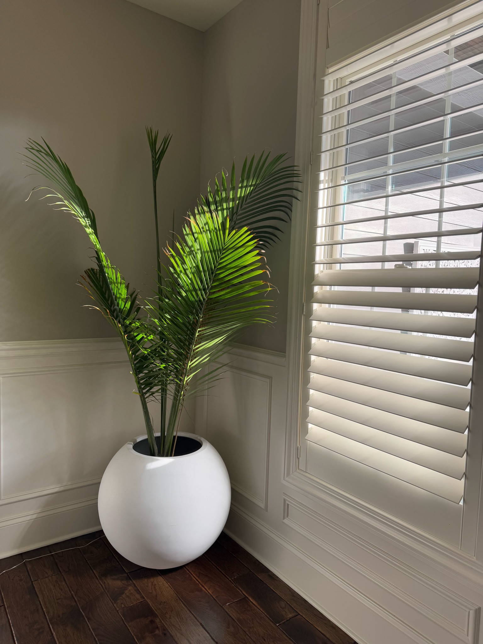 Morning light ☀️

#LTKHome