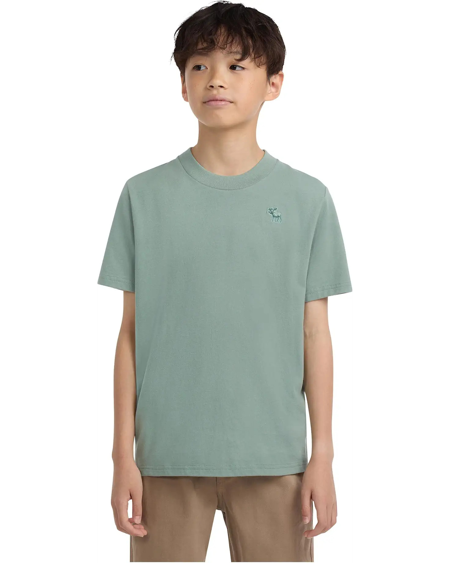Boy's abercrombie kids Short Sleeve Essential Tee (Little Kid/Big Kid) | Zappos.com