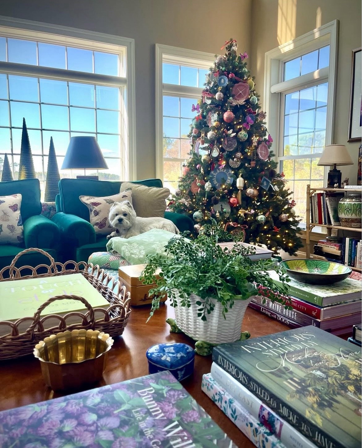 Prefer a full and classic tree look? This Cypress Speucr is 7.5 ft tall, covered with lights and is perfect for tucking in large ornaments. Why not hang beautiful plates in your tree?

#LTKHoliday #LTKHome #LTKCyberWeek