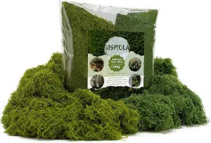 Dual-Color Fake Moss for Potted Plants Indoor, 7OZ Realistic Artificial Moss for Fairy Gardens, T... | Amazon (US)