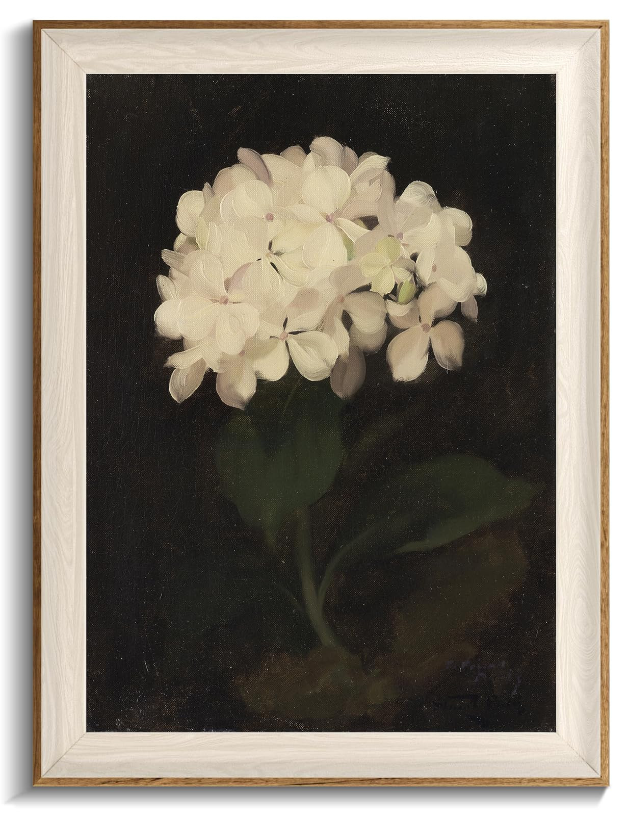 Framed Flower Wall Art, Vintage White Hydrangea Still Life Floral Art Prints, Moody Vintage Canva... | Amazon (US)
