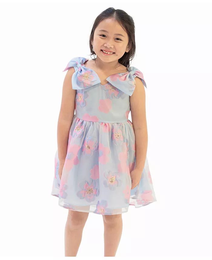 Rare Editions Little Girls Burnout Organza Social Dress - Macy's | Macy's