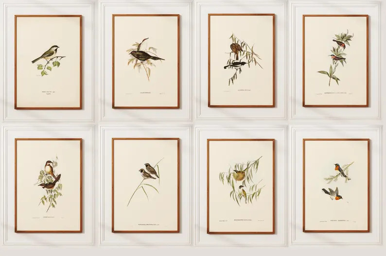 Vintage Bird Set of 8 | Watercolor Bird Print, Vintage Birds Painting, Botanical Prints, Audubon ... | Etsy (US)