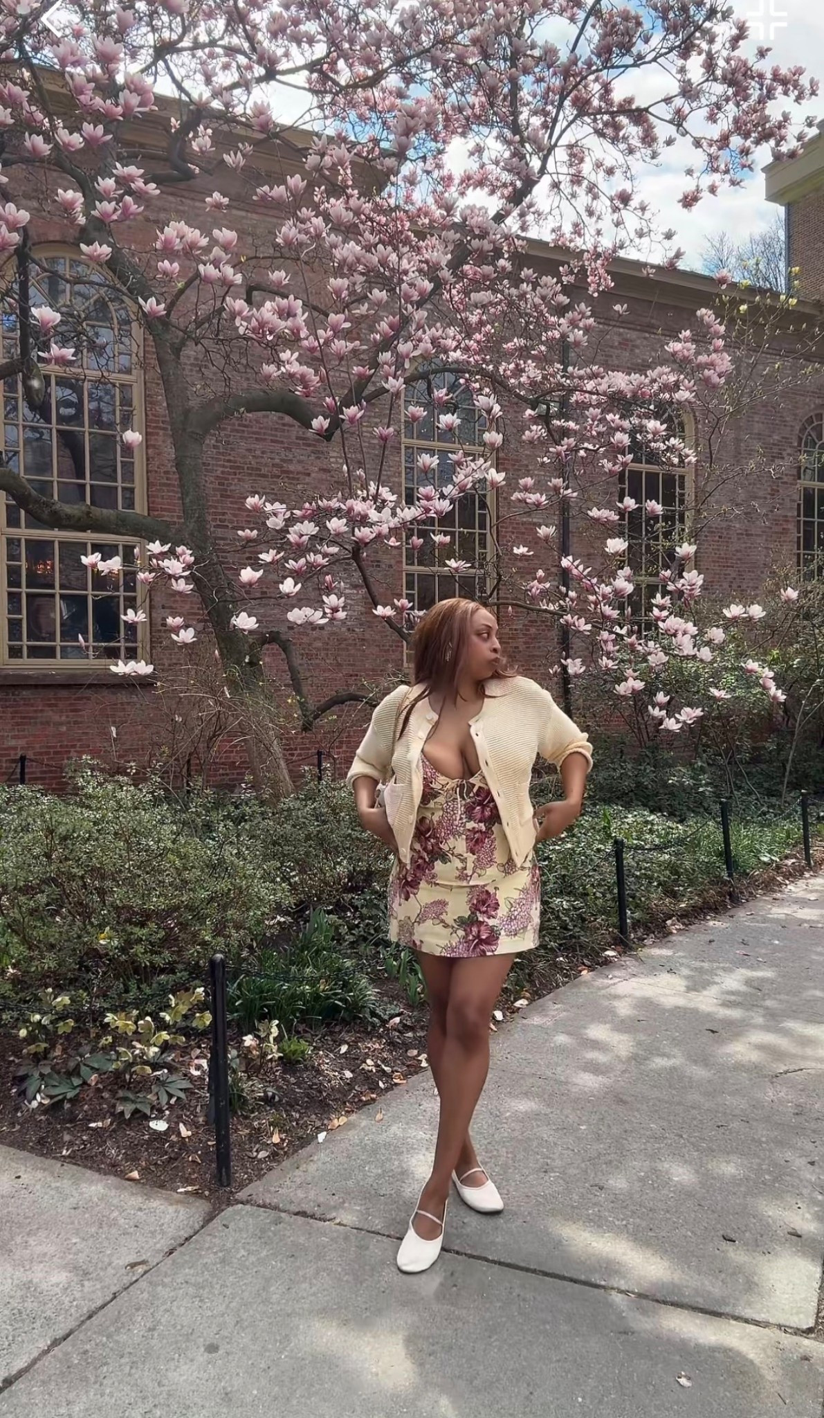 Spring in bloom 