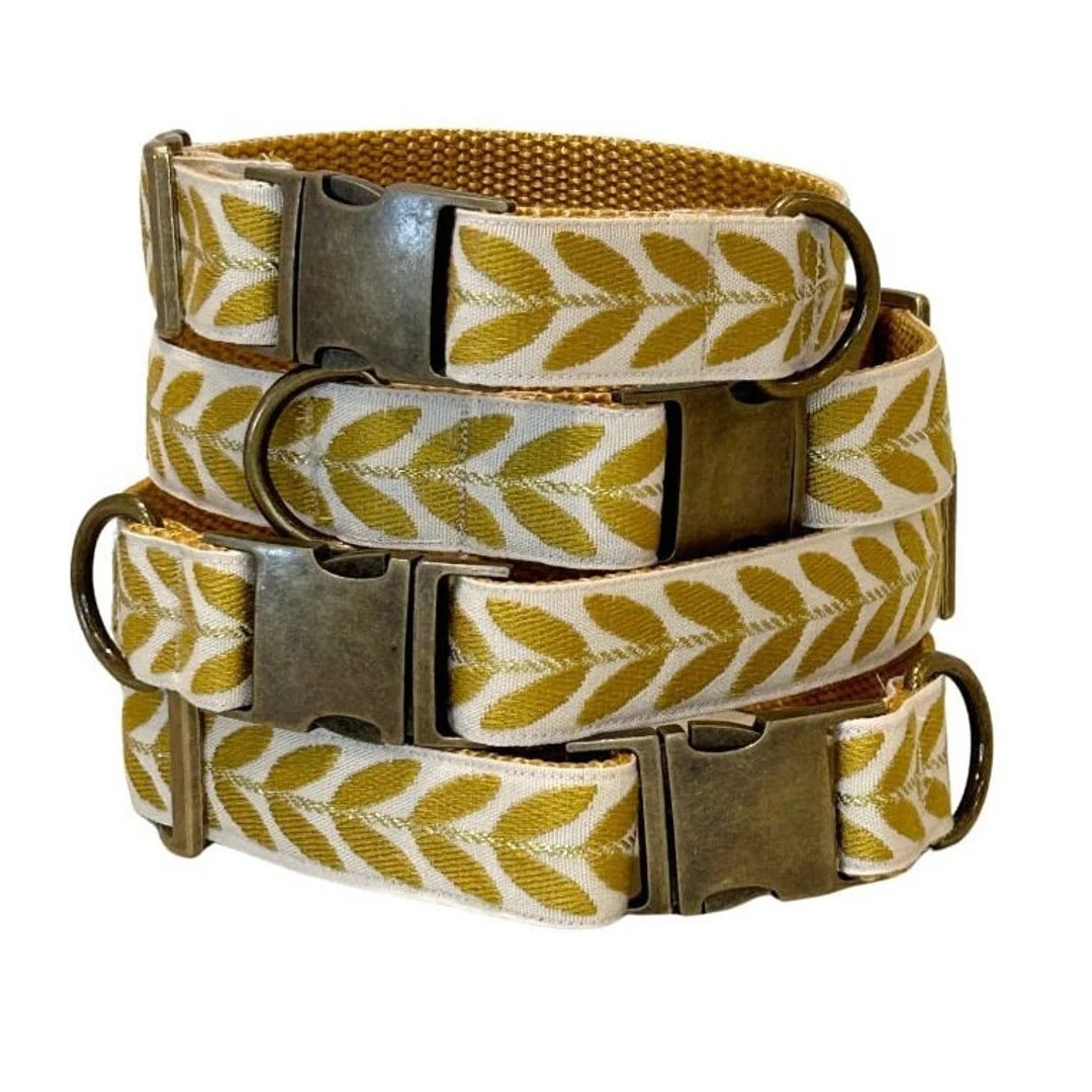 GOLDEN LEAF Designer Dog Collar - Etsy | Etsy (US)