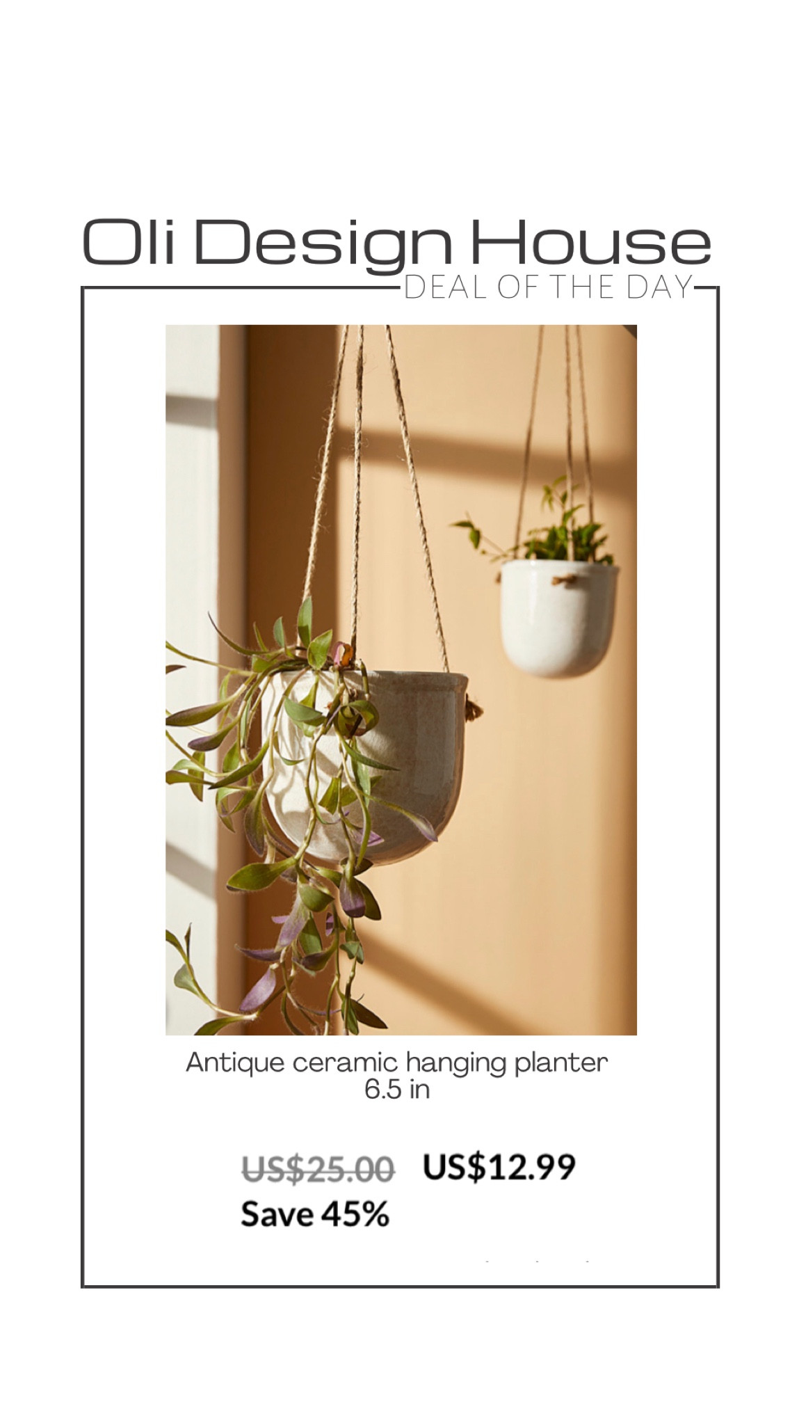 Deal of the day…

6.5 inch ceramic hanging planter on sale for $12.99!! Such a great price! 

#LTKsalealert #LTKFind #LTKhome