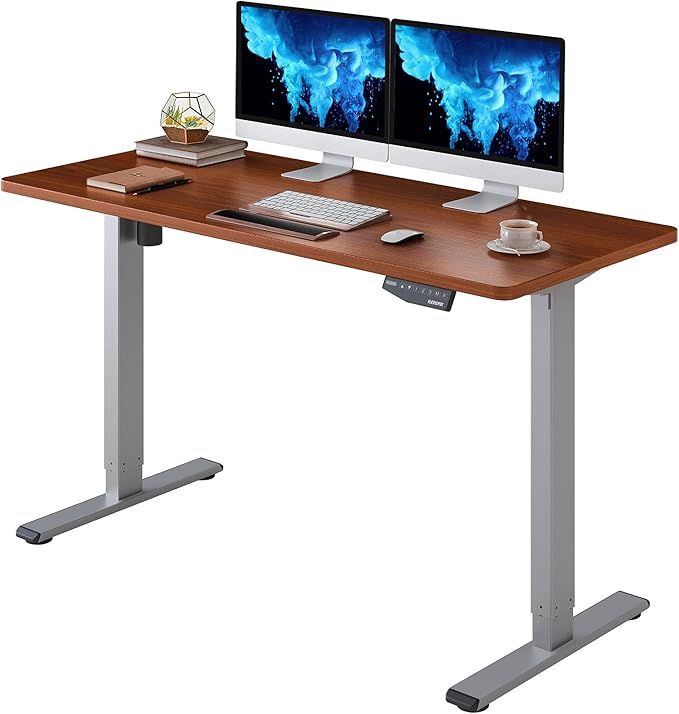 FLEXISPOT Height Adjustable Desk 55 x 28 inches with Memory Electric Sit Stand Up Computer Desk H... | Amazon (US)