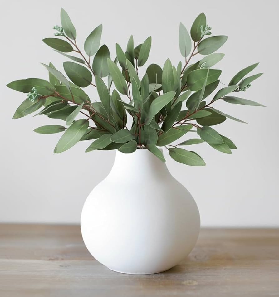 Carrot's Den | Amazon (US)