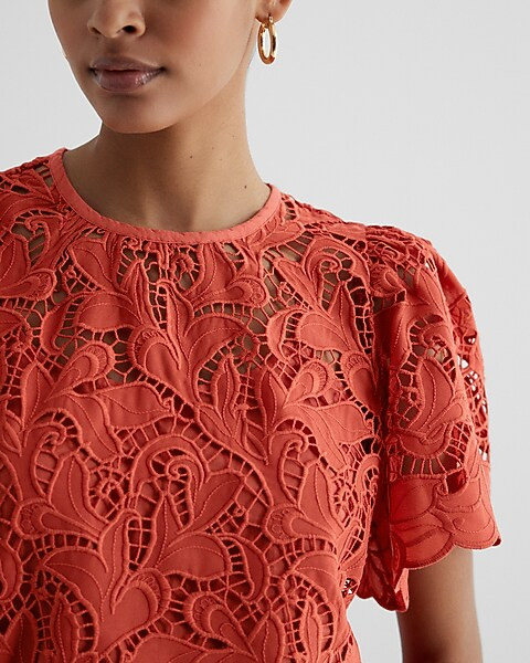 Embroidered Crochet Puff Sleeve Top | Express