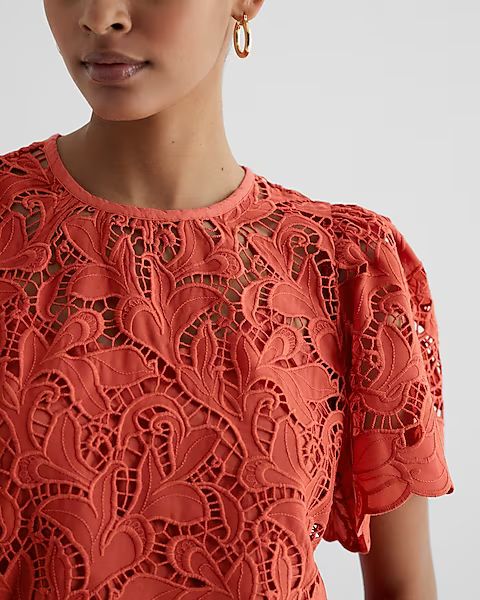 Embroidered Crochet Puff Sleeve Top | Express