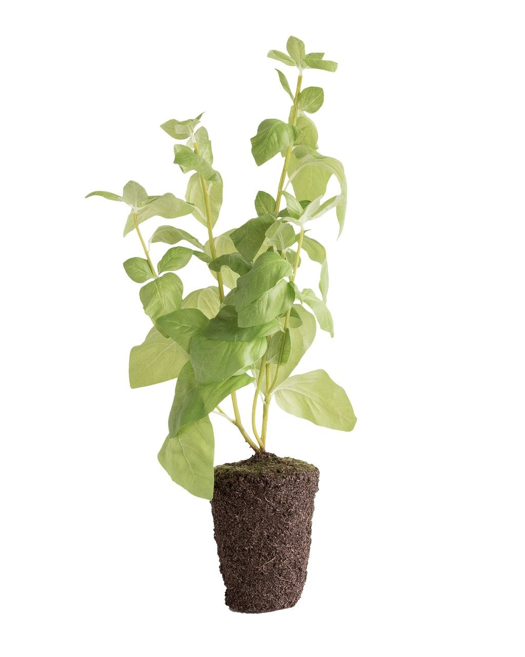 Faux Basil Drop-In | McGee & Co.