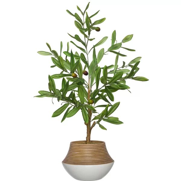 Artificial Olive Tree Tree in Planter | Wayfair North America