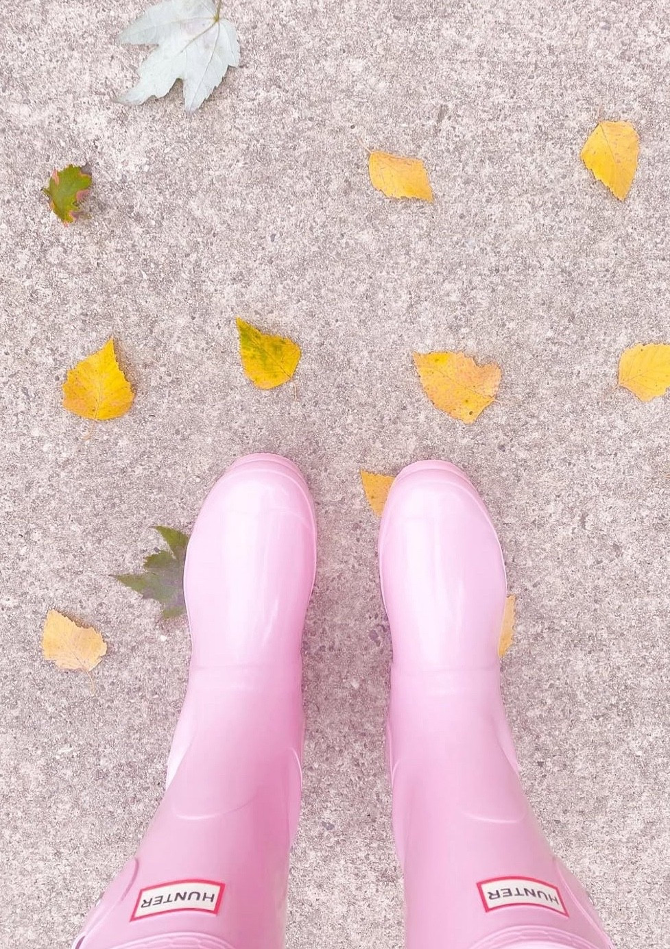 Fall means rain which means Hunter Boots for me! They are the bright spot on a gloomy day! Over the years I’ve collected these pink, glossy red & gray 😆 

There are pretty new pinks, others I love like the animal print & my classic red! 

#LTKShoeCrush #LTKStyleTip #LTKSeasonal