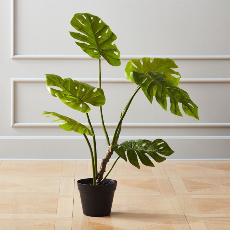 Faux Potted Monstera Plant 29" + Reviews | CB2 | CB2