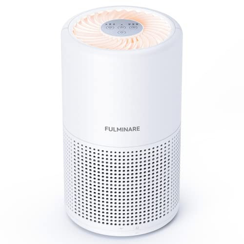 Air Purifiers for Bedroom, FULMINARE H13 True HEPA Air Filter, Quiet Air Cleaner With Night Light... | Amazon (US)