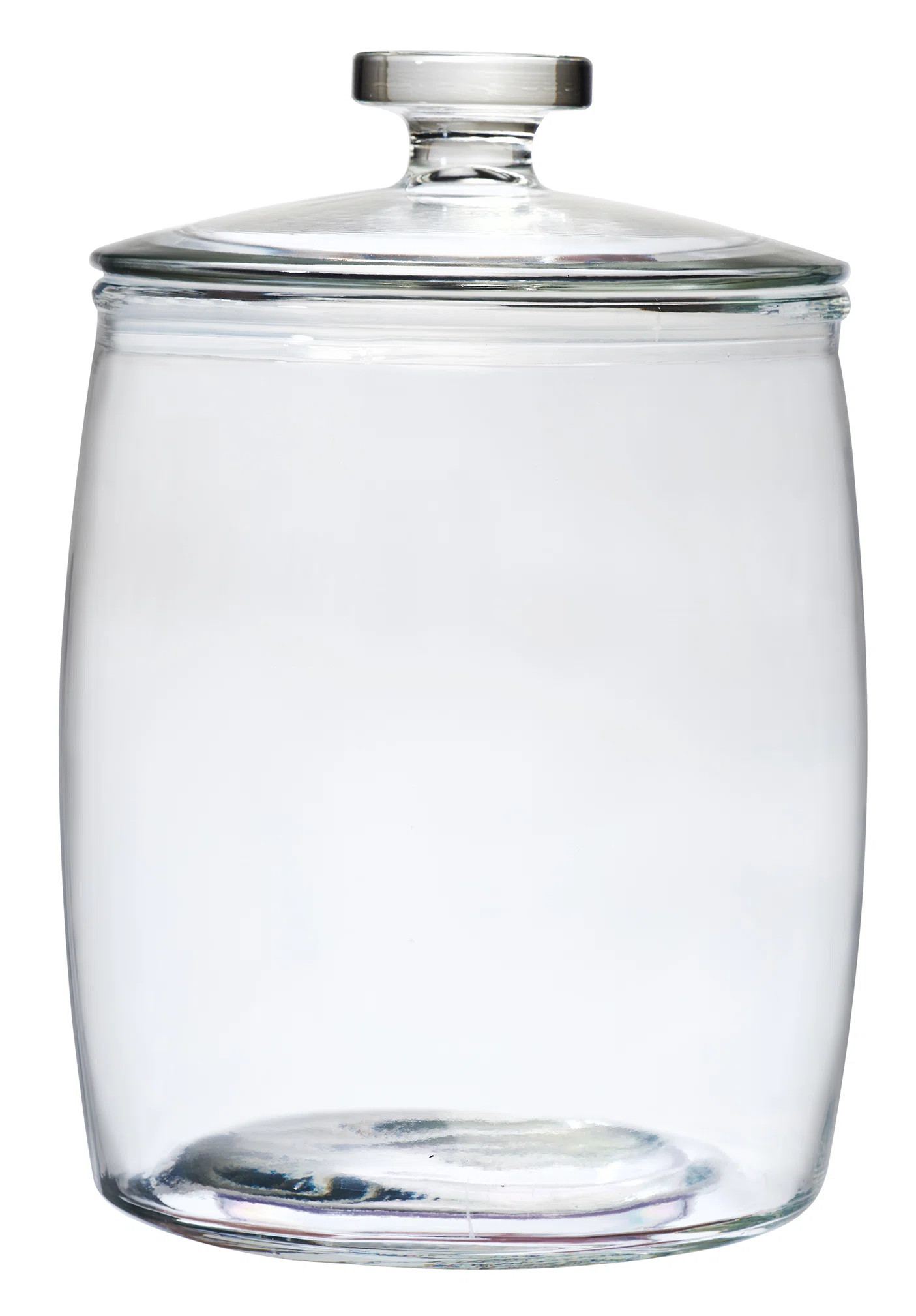 Arlo Glass Jar | Wayfair North America