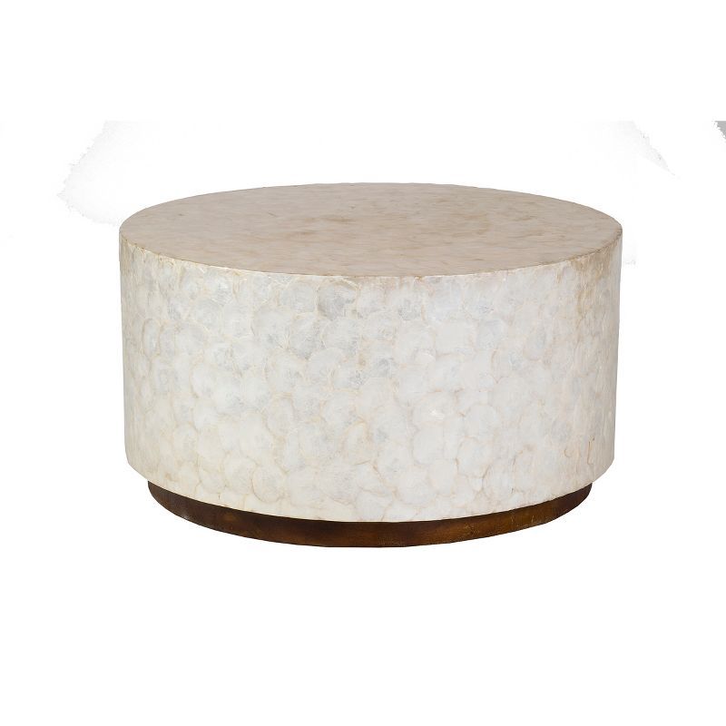 Rowden Capiz Coffee Table Off-White - East At Main | Target