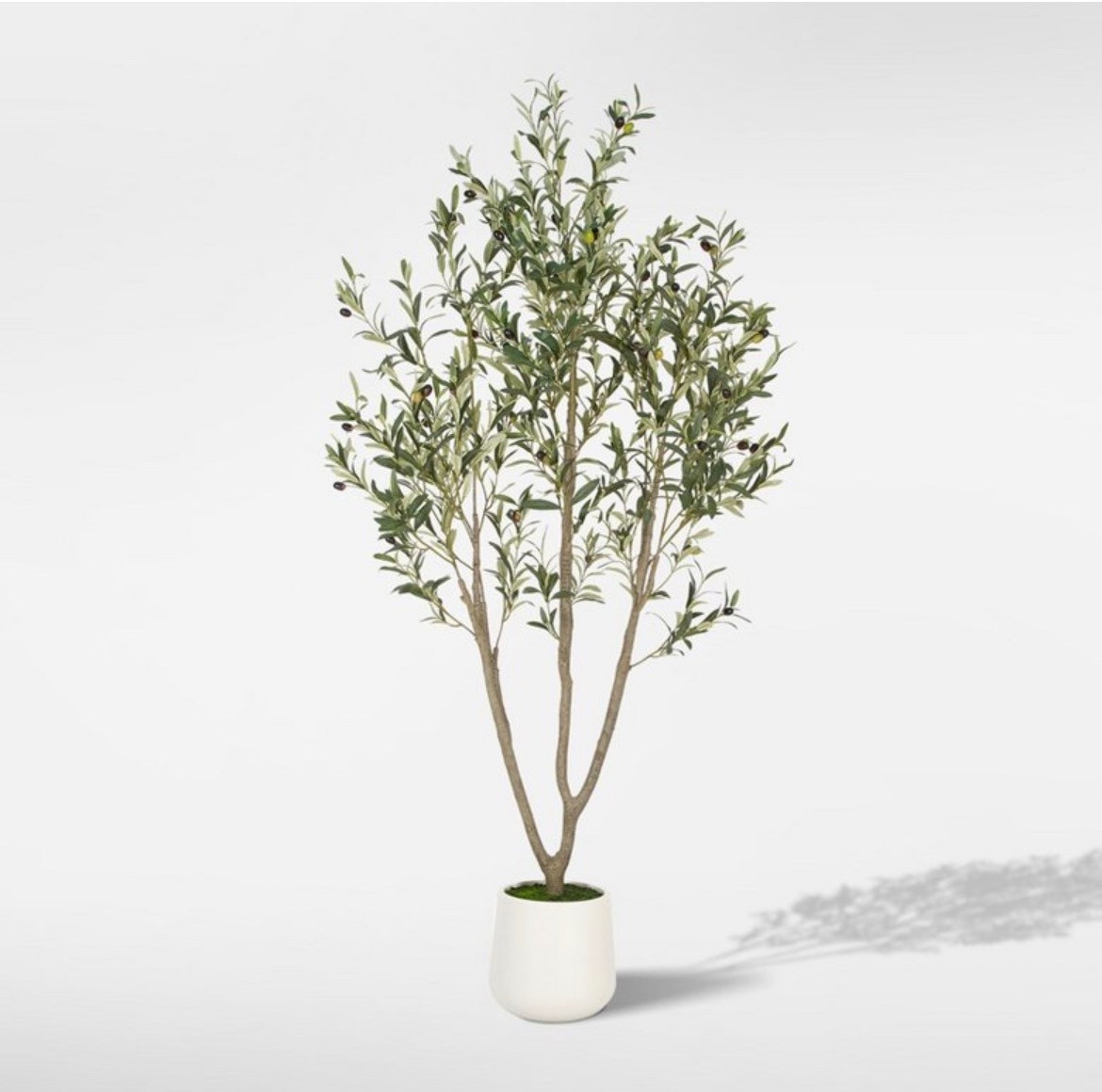 This 6’ tall faux olive tree is under $100! 

#homedecor #target #targethome 

#LTKHome #LTKSaleAlert