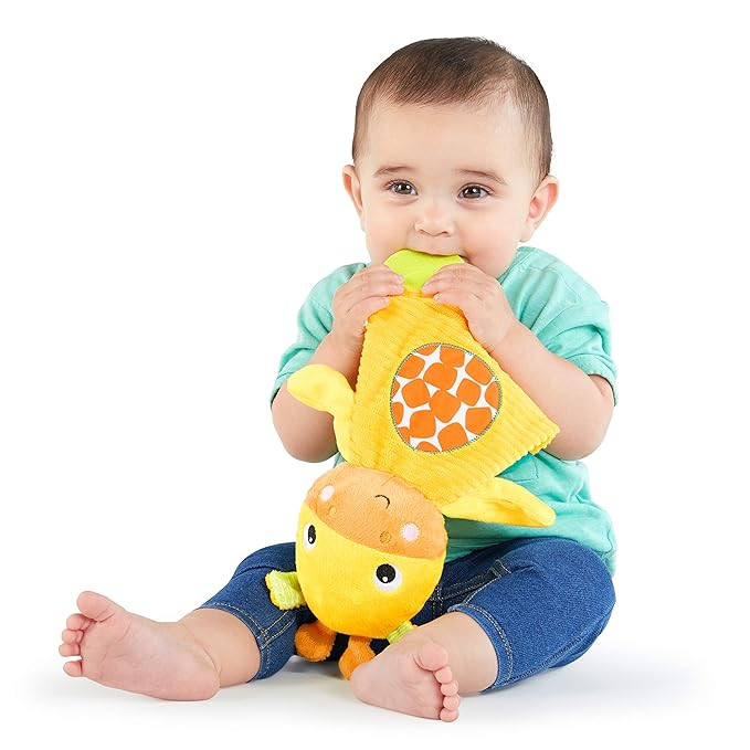 Bright Starts Snuggle & Teethe BPA-free Crinkle Teething Plush Baby Toy - Giraffe | Amazon (US)