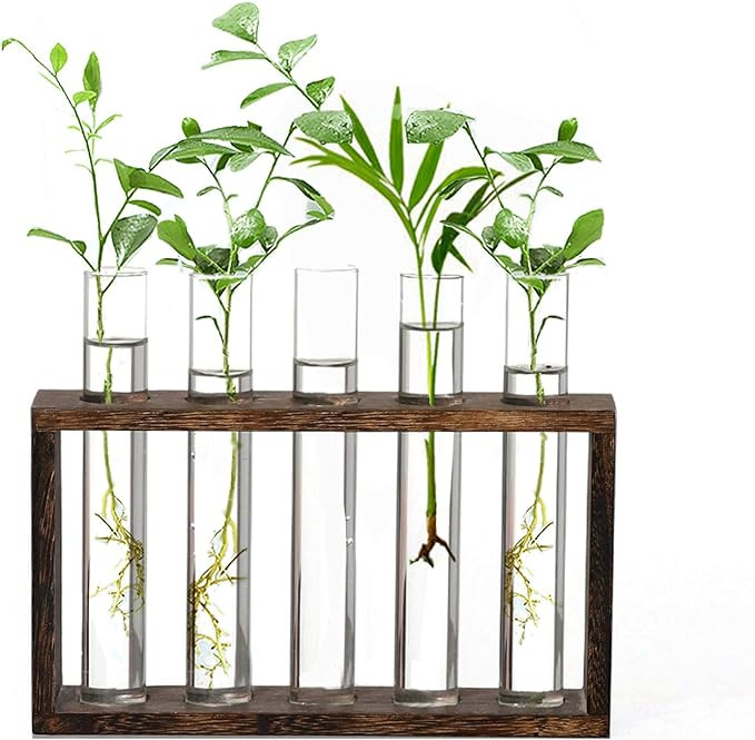 XXXFLOWER Wooden Stand with Test Tube Propagation Station Rack Desktop Hydroponics Terrarium ,5 P... | Amazon (US)