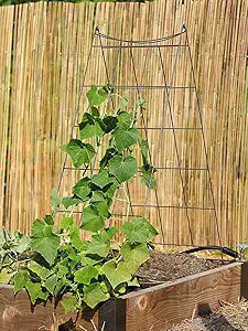 Gardener's Supply Company Wire A-Frame Trellis | Strong and Sturdy Metal Outdoor Garden Trellis P... | Amazon (US)
