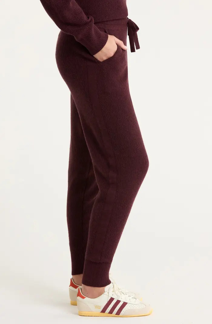 Wool & Cashmere Knit Joggers | Nordstrom