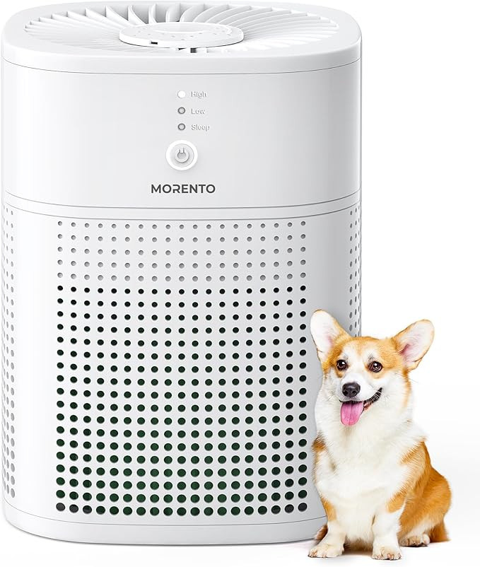 MORENTO Air Purifiers for Bedroom, HEPA Filter for Smoke, Pet Dander with Fragrance Sponge, Small... | Amazon (US)