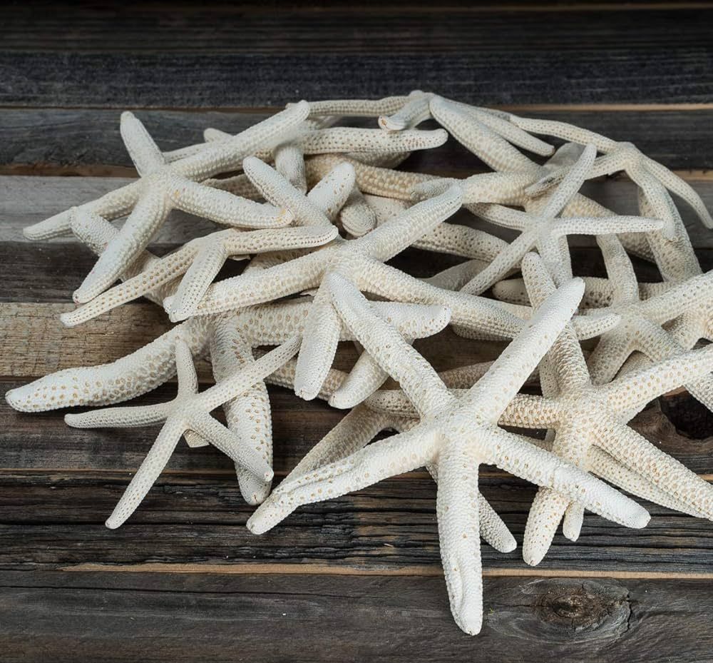 Finger Starfish - White Uniquely Shaped Assortment 2" to 5" - 15 Pieces - Craft Starfish - Imperf... | Amazon (US)