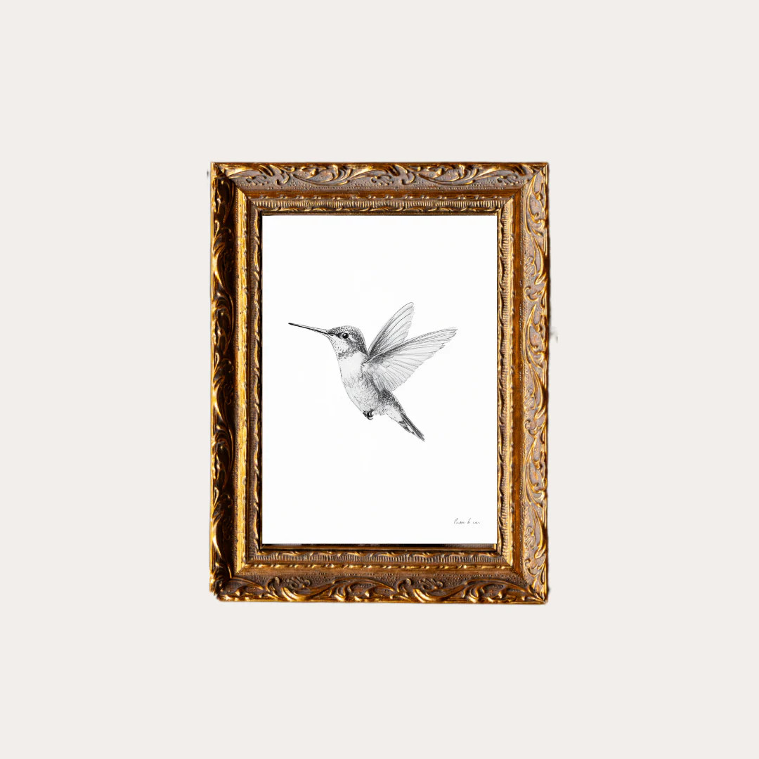 Hummingbird Sketch | French Brass Gold Mould Framed Art | Luxe B Co