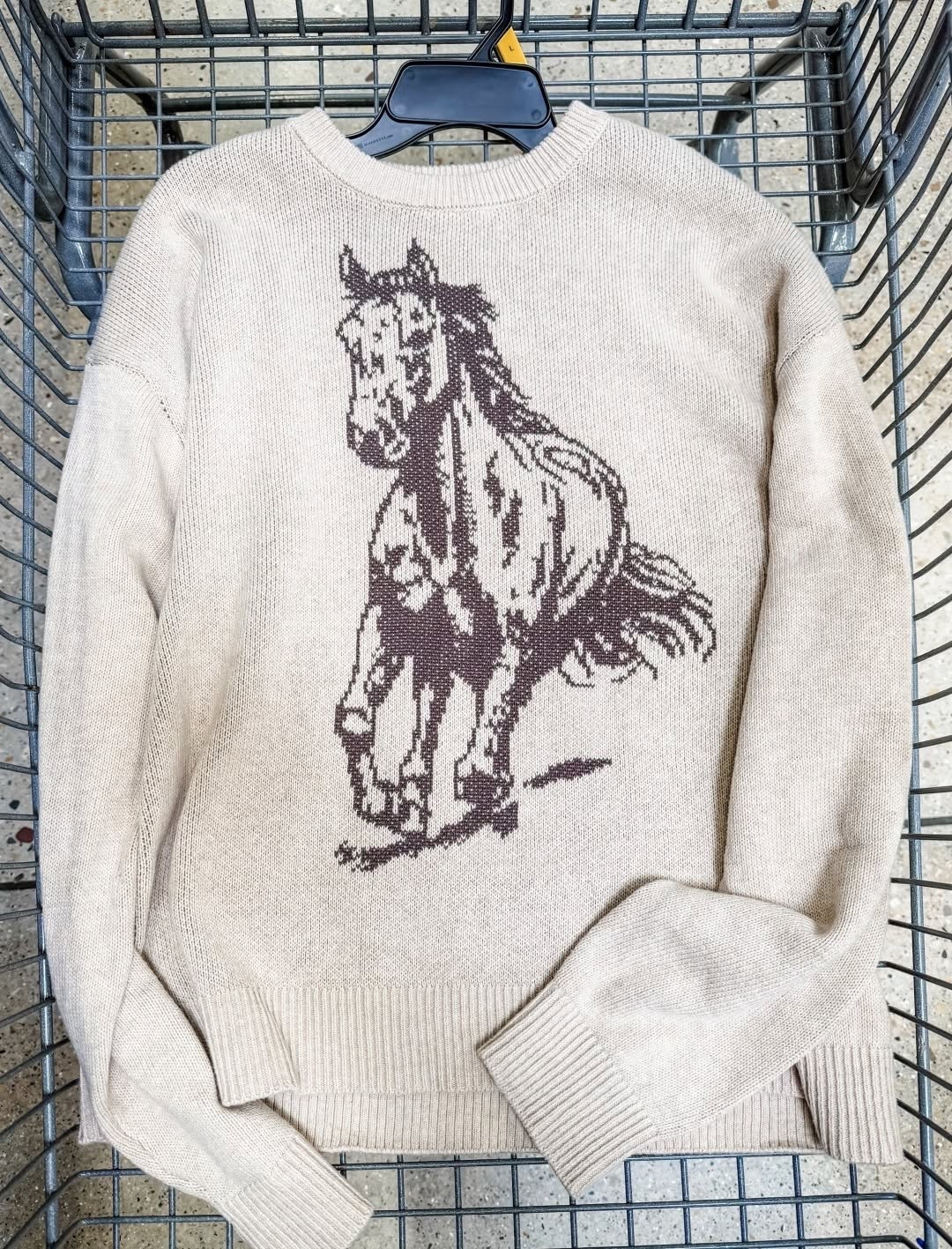 Shhhh… No one would ever know this cute graphic sweater was hiding in the men's department!🤭 Size down 1-2 for a less oversized look.