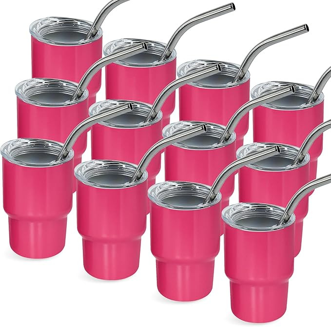 3 oz Mini Tumbler Shot Glass with Straw and Lid 12 Pcs Sublimation Shot Glasses Tumblers Stainles... | Amazon (US)