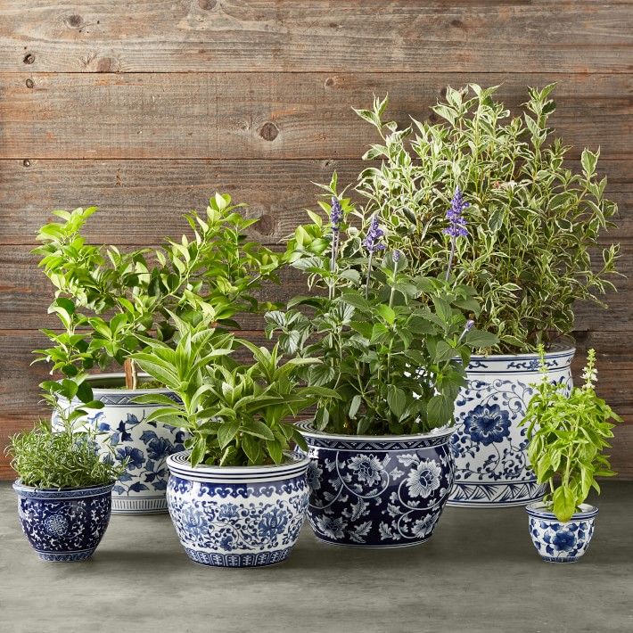 Blue &amp;amp; White Ultimate Planter Set | Williams-Sonoma